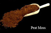 Peat Moss