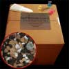 Orchid Potting Mix - Cattleya Orchid Potting Mix - Cattleya
